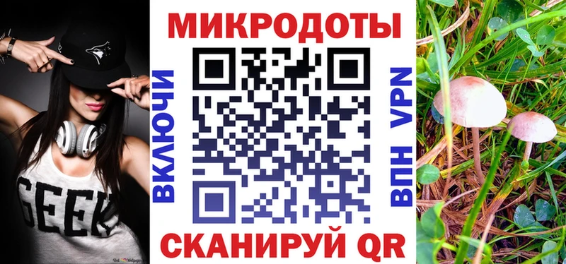 Галлюциногенные грибы Psilocybe дарнет шоп Наволоки